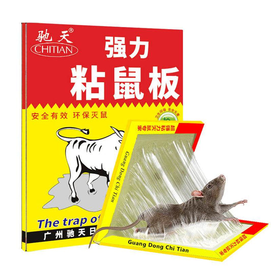 20g Household Strong Sticky Mouse Trap Sticker - Mubimart