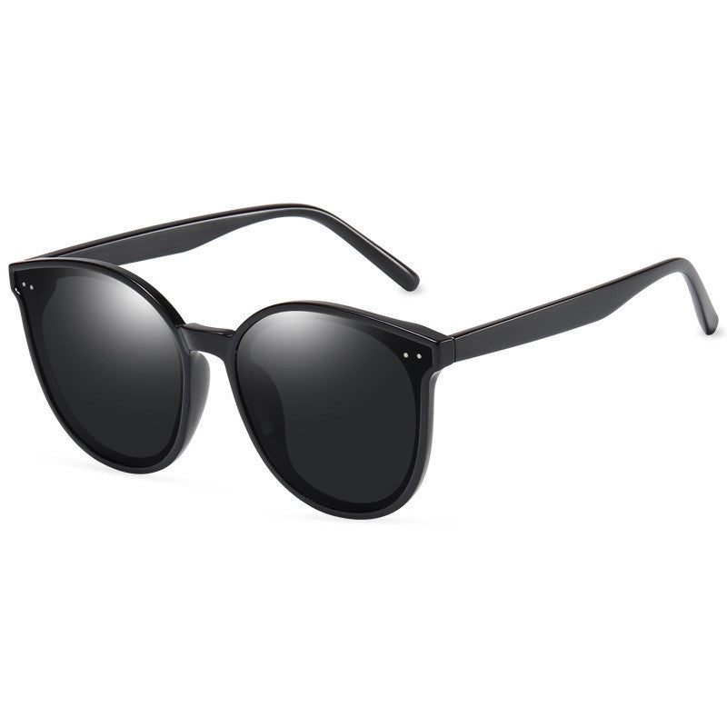 LargeFrame Polarized Sunglasses