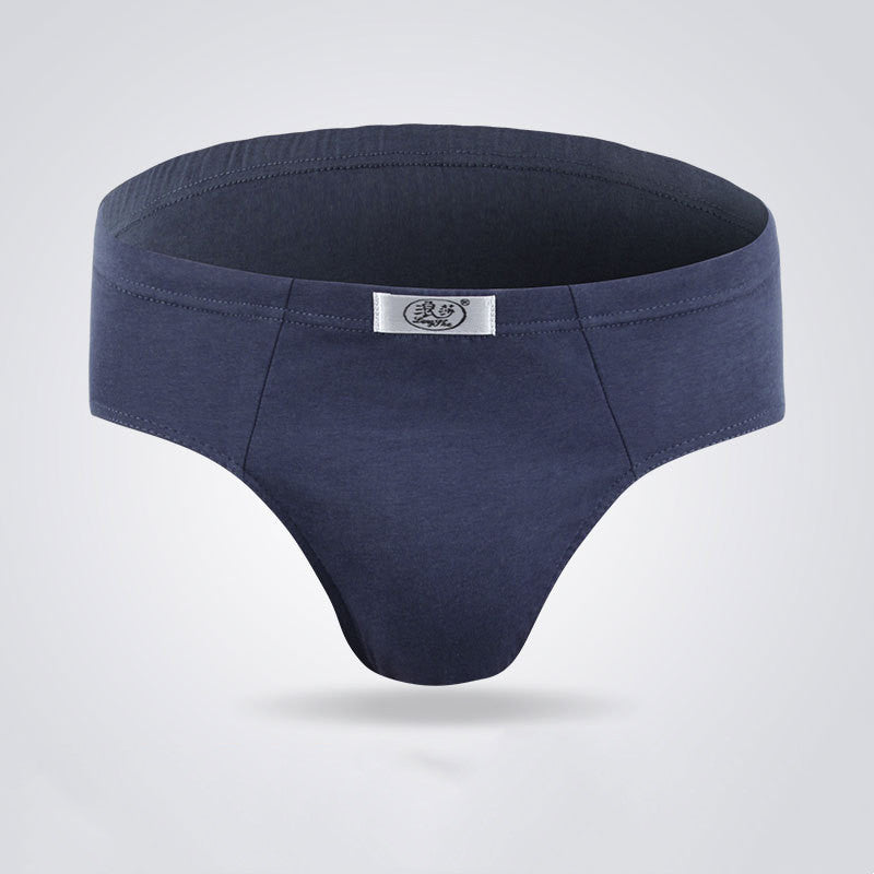 Men's underwear breathable briefs