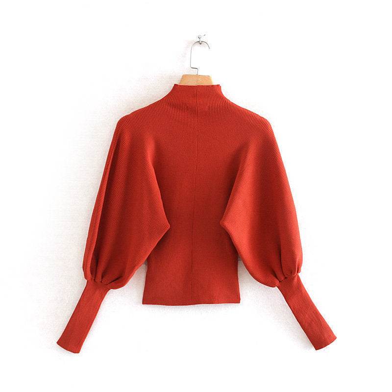 Turtleneck Pullover Sweater - Mubimart