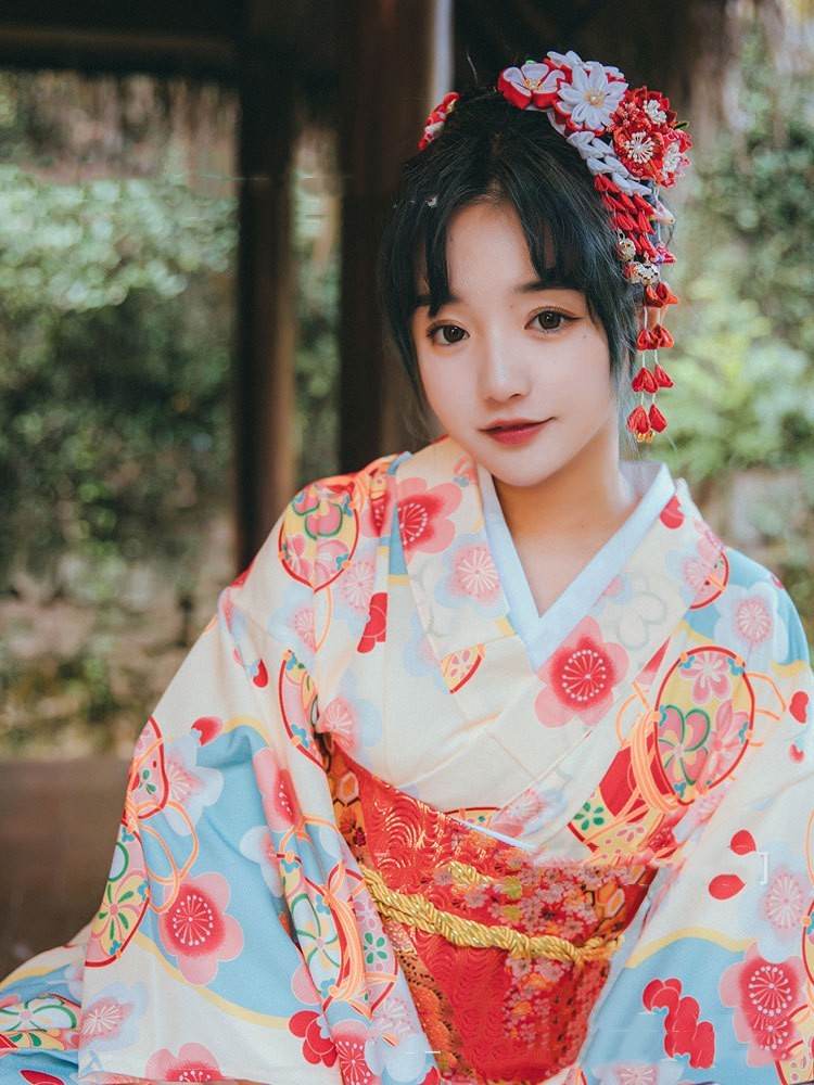 Shenming Girl Formal Dress Traditional Japanese Kimono Dress - Mubimart