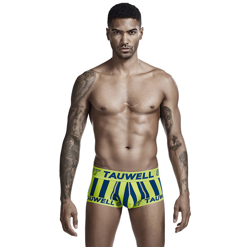 Boxer Briefs Vertical Stripe Movement