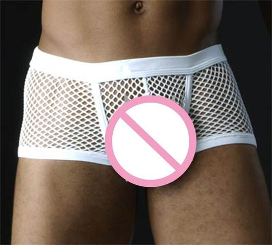 Black White Sexy Mens Boxers Shorts Transparent Mesh See Through Erotic Underpants Low Rise Man Sex Underwear Lingerie Trunk - Mubimart