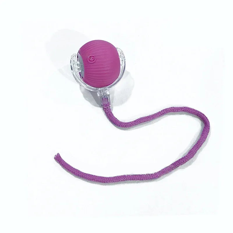 2779495a-77cc-4be9-96a5-f97a07738a4e - Mubimart