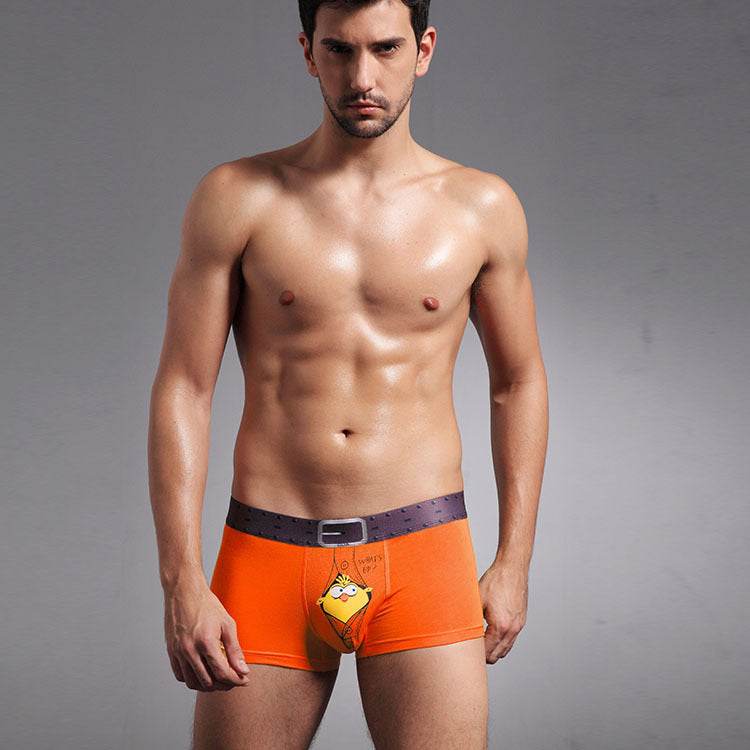 Men's Boxer Briefs Mysterious Bird Male Boxer Briefs U Convex Design Briefs - Mubimart