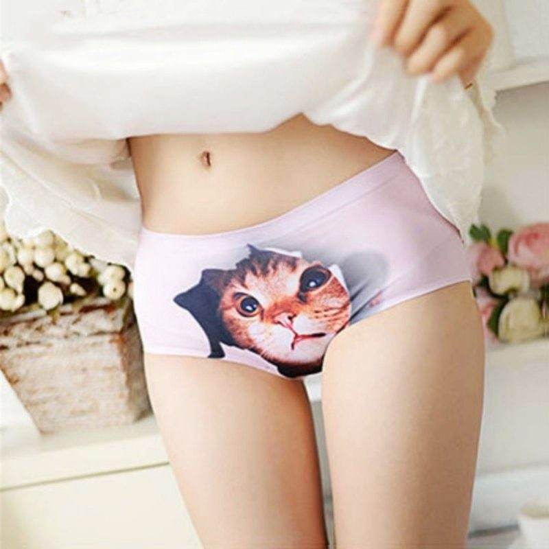 3d Print Cat Cotton Underwear Women Panties Seamless Briefs New Arrival Female Ropa Interior Mujer Lingerie - Mubimart
