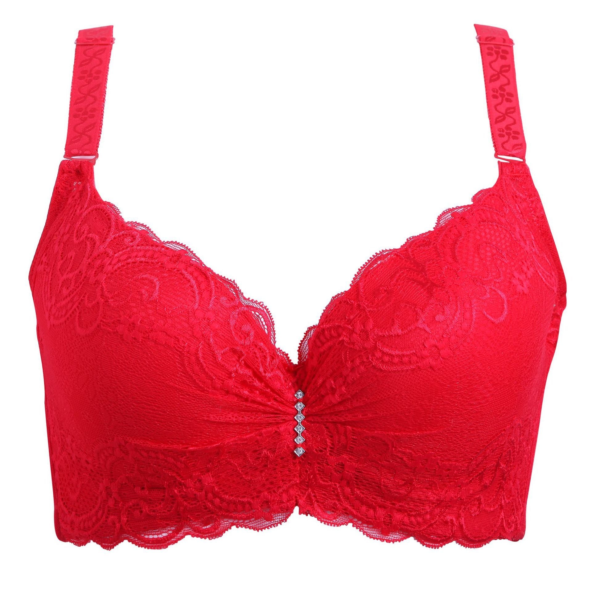 Lace Sexy Plus Size Bra For Women - Mubimart -  