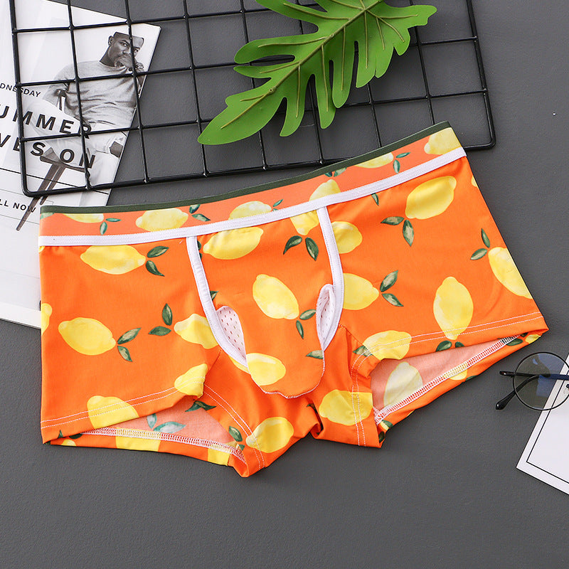 Sexy Men's Underwear Boxers