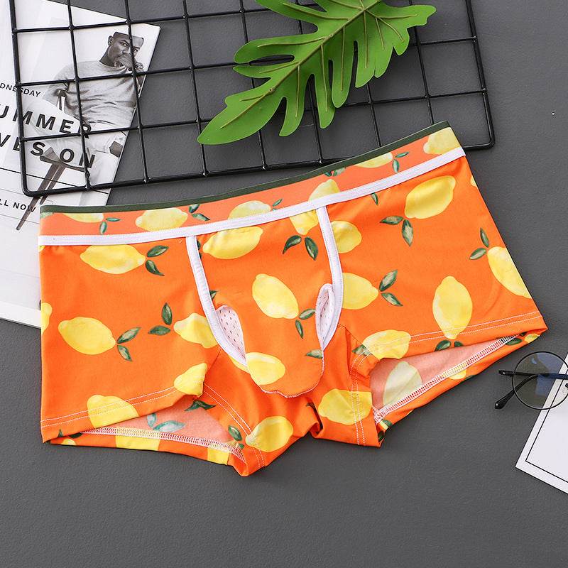 Sexy Men's Underwear Boxers - Mubimart