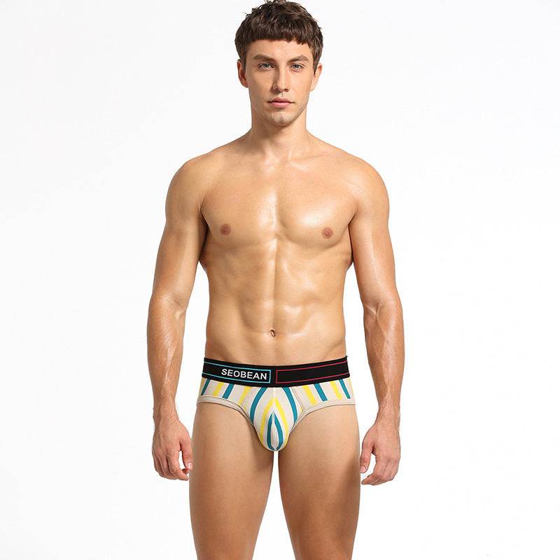 Men's Briefs Cotton Briefs With Vertical Stripes - Mubimart