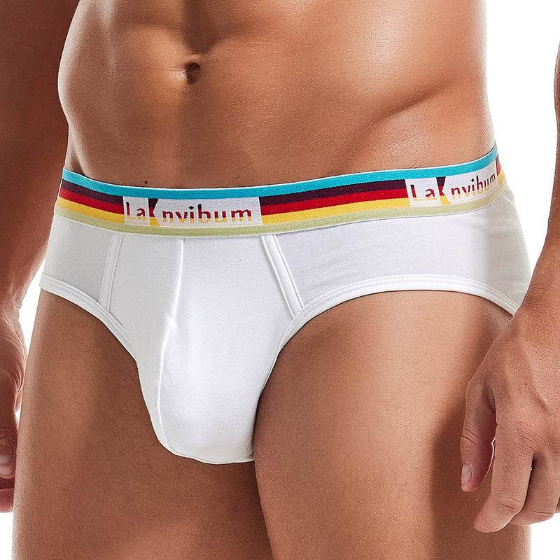 Rainbow Rubber Band Cotton Briefs - Mubimart