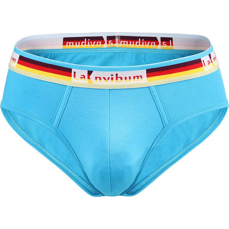 Rainbow Rubber Band Cotton Briefs - Mubimart