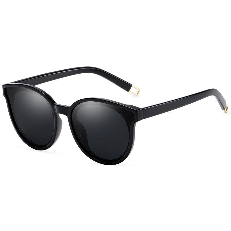 LargeFrame Polarized Sunglasses