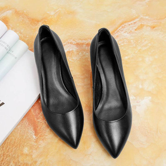 Pointed Toe Professional High Heel Work Shoes - Mubimart