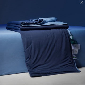 Four Seasons Winter Quilt Duvet Insert Double Layer