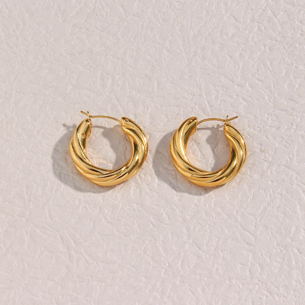 Denisse Twisted Hoop Earrings - Mubimart