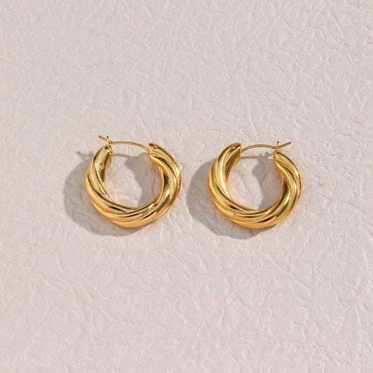 Denisse Twisted Hoop Earrings - Mubimart