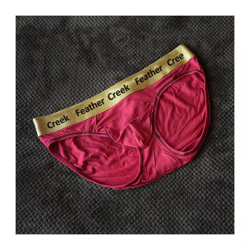 Men's Briefs Thong Big Bag Underwear - Mubimart