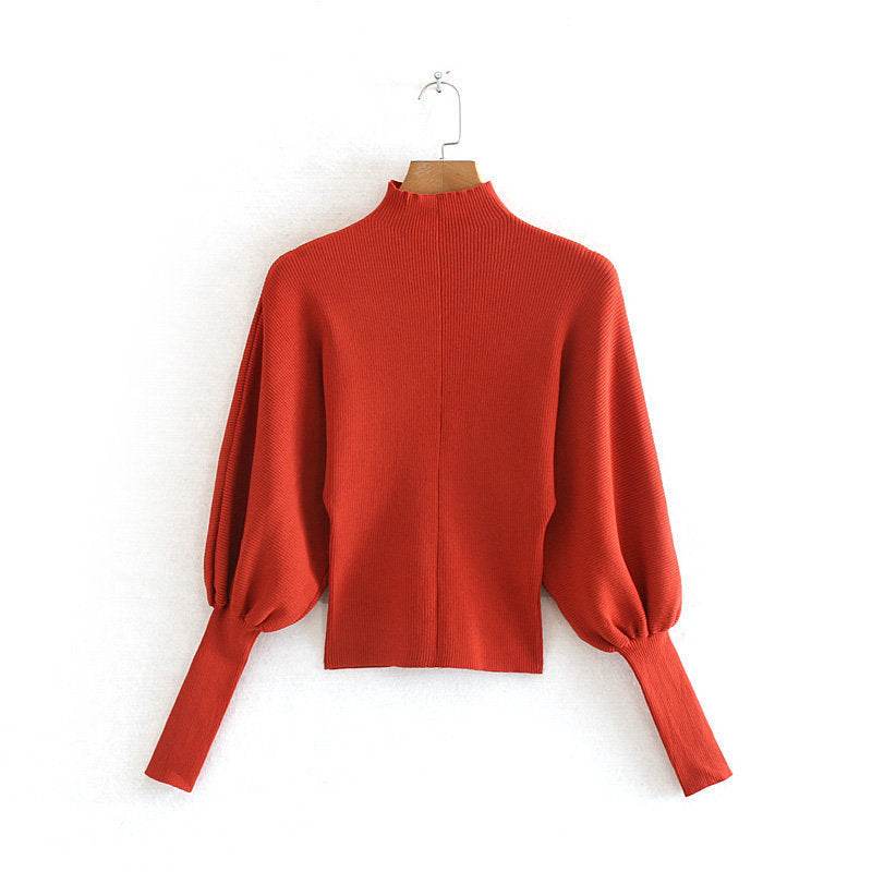 Turtleneck Pullover Sweater - Mubimart