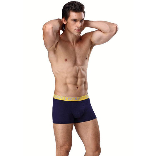 Men's boxer briefs - Mubimart