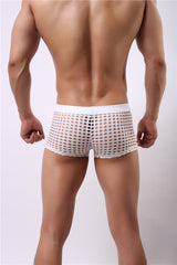 Mesh boxer briefs hollowed out