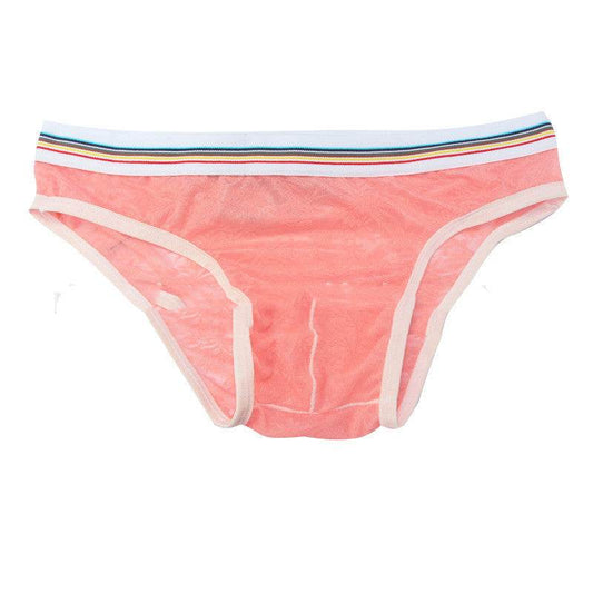 Men's Briefs Mesh Panties - Mubimart