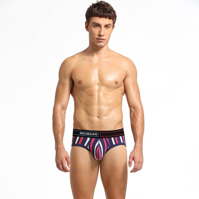 Men's Briefs Cotton Briefs With Vertical Stripes - Mubimart