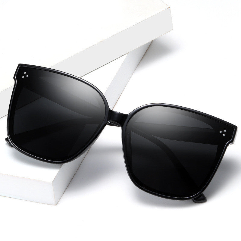 LargeFrame Polarized Sunglasses