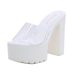 Transparent Slipper With Chunky High Heel Platform Shoes - Mubimart -  