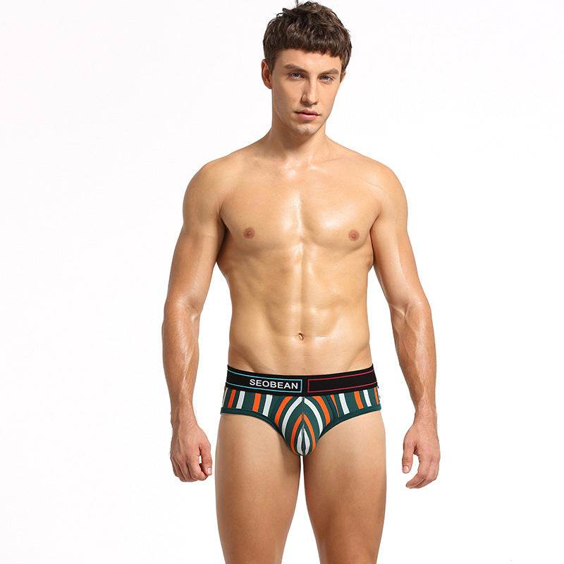 Men's Briefs Cotton Briefs With Vertical Stripes - Mubimart