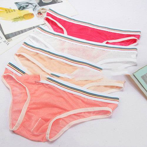 Men's Briefs Mesh Panties - Mubimart