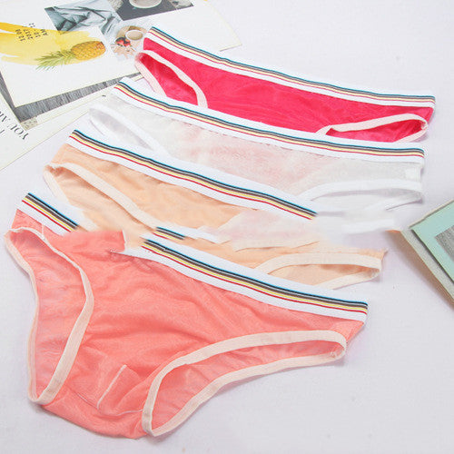 Men's Briefs Mesh Panties