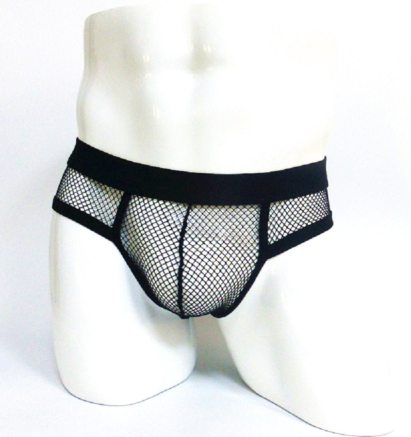 Men's Underwear Transparent Mesh Briefs Low Waist Convex Design Underwear Men