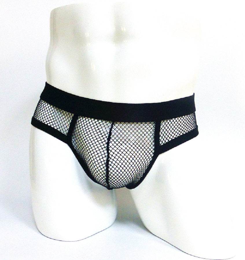 Men's Underwear Transparent Mesh Briefs Low Waist Convex Design Underwear Men - Mubimart