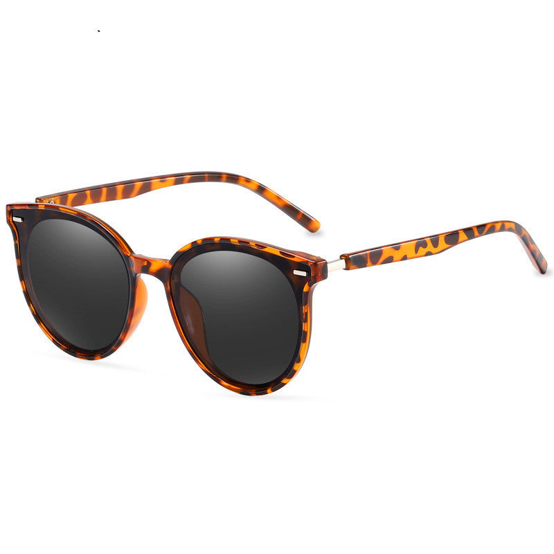 LargeFrame Polarized Sunglasses