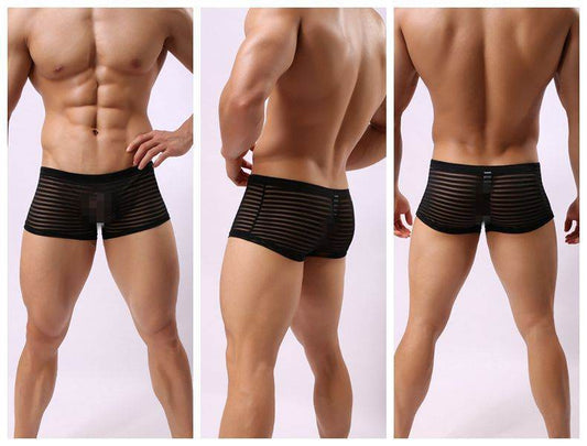 Striped Transparent Boxers For Men - Mubimart