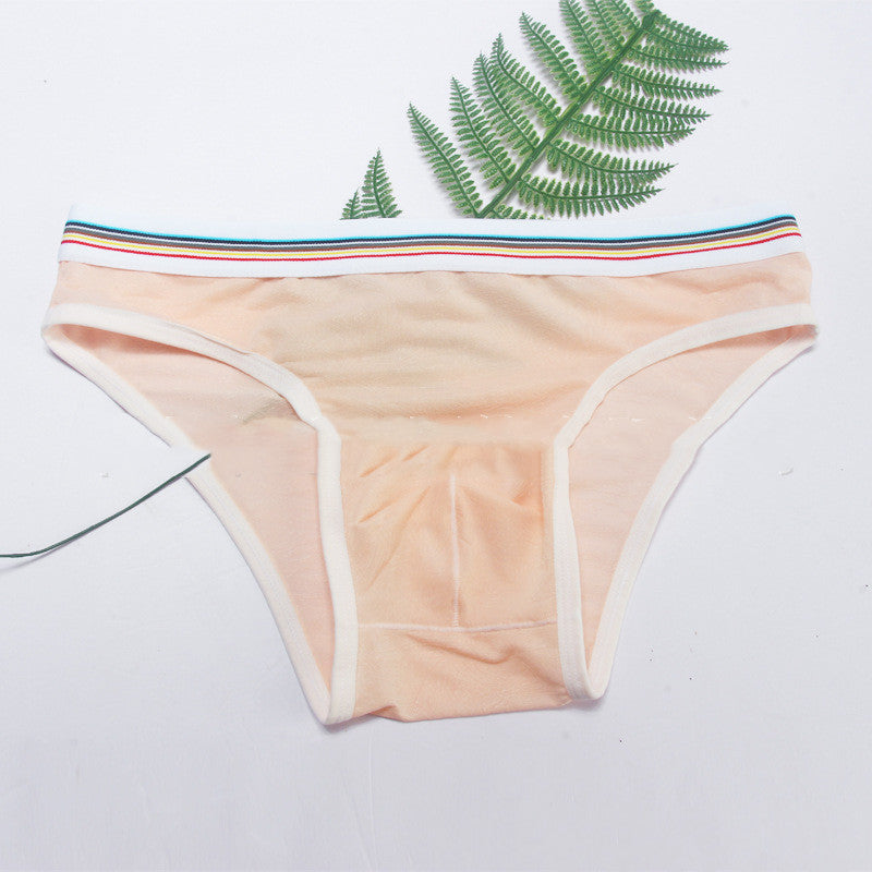 Men's Briefs Mesh Panties