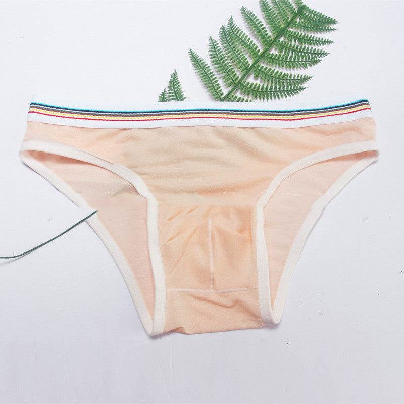 Men's Briefs Mesh Panties - Mubimart