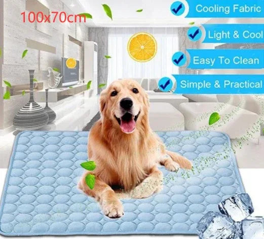 6a73db9f-b8af-4d01-b42b-a2c80d1b1857 - Mubimart