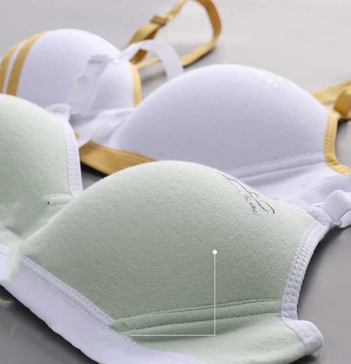 Japanese Style Small Chest Push Up Bra - Mubimart -  