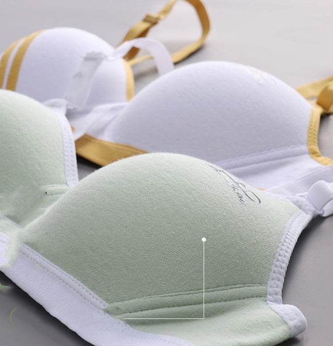 Japanese Style Small Chest Push Up Bra - Mubimart