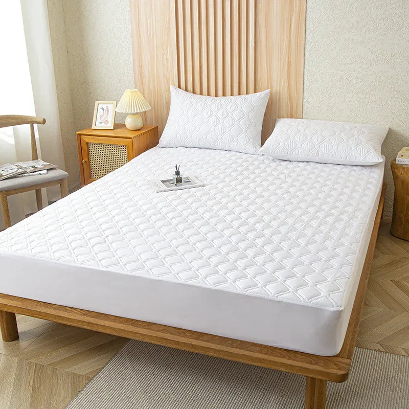 70f0cd47-7365-4f6a-8d12-cc04423c0c5f - Mubimart