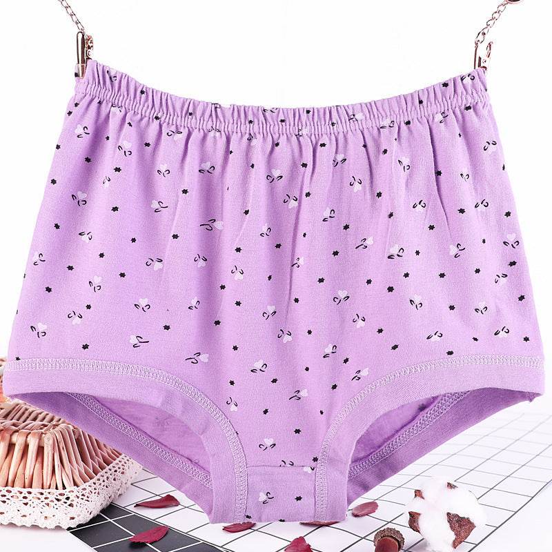 Plus size fat women briefs - Mubimart