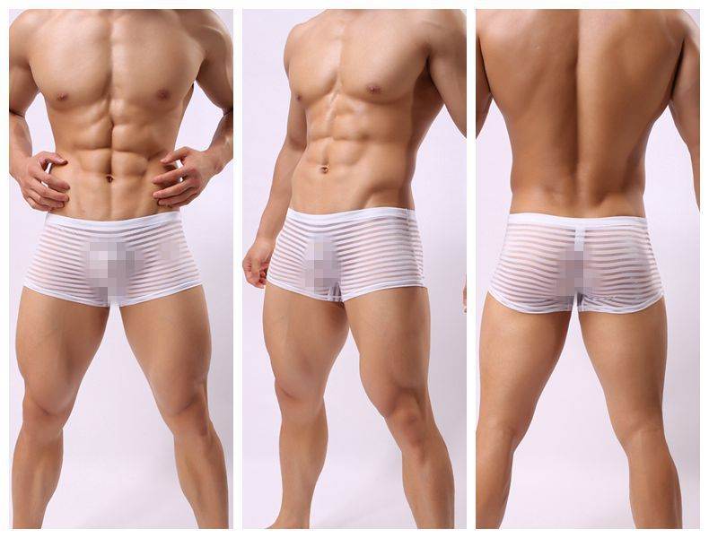 Striped Transparent Boxers For Men - Mubimart