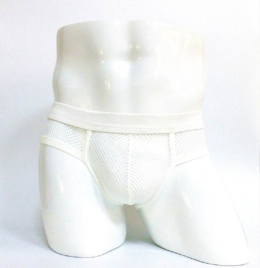 Men's Underwear Transparent Mesh Briefs Low Waist Convex Design Underwear Men - Mubimart