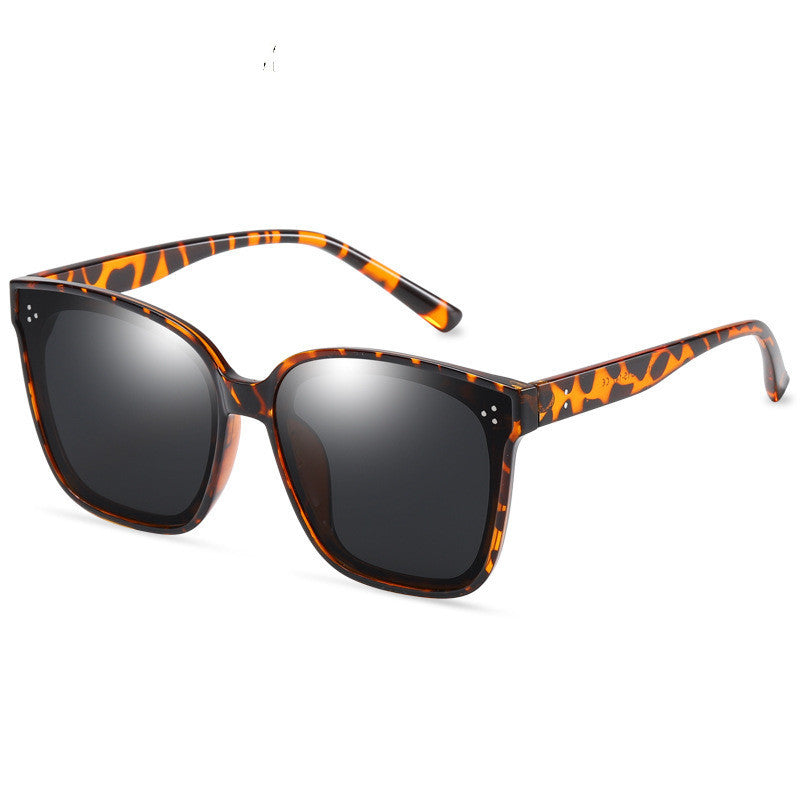 LargeFrame Polarized Sunglasses