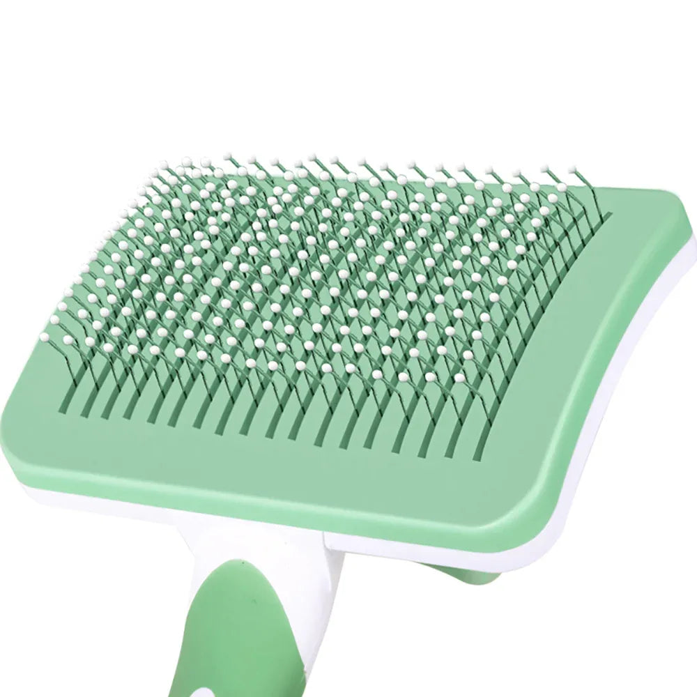 81cf0aee-10e9-478a-ada9-cd9d8ff9fa8a - Mubimart