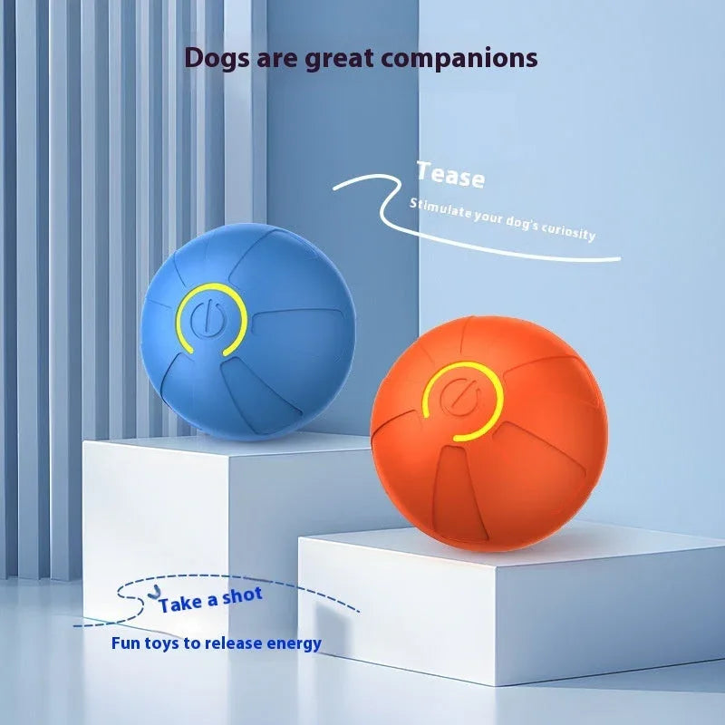 830bd3d5-7f79-4c6b-b015-da7dc20397c7_trans - Mubimart