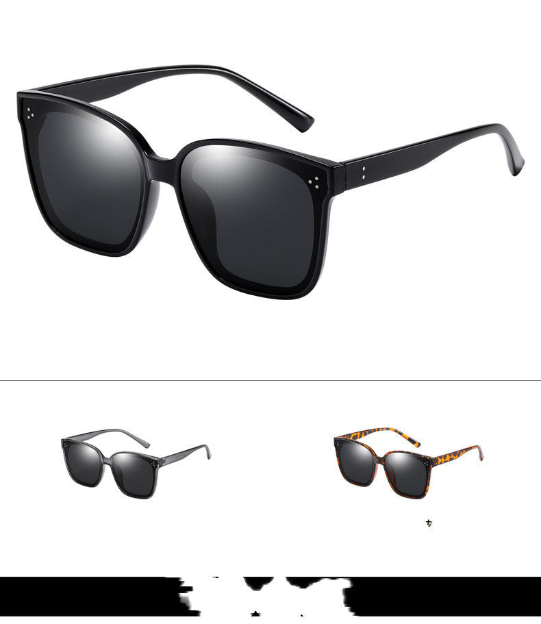 LargeFrame Polarized Sunglasses