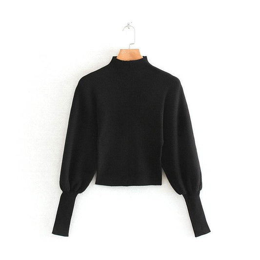 Turtleneck Pullover Sweater - Mubimart